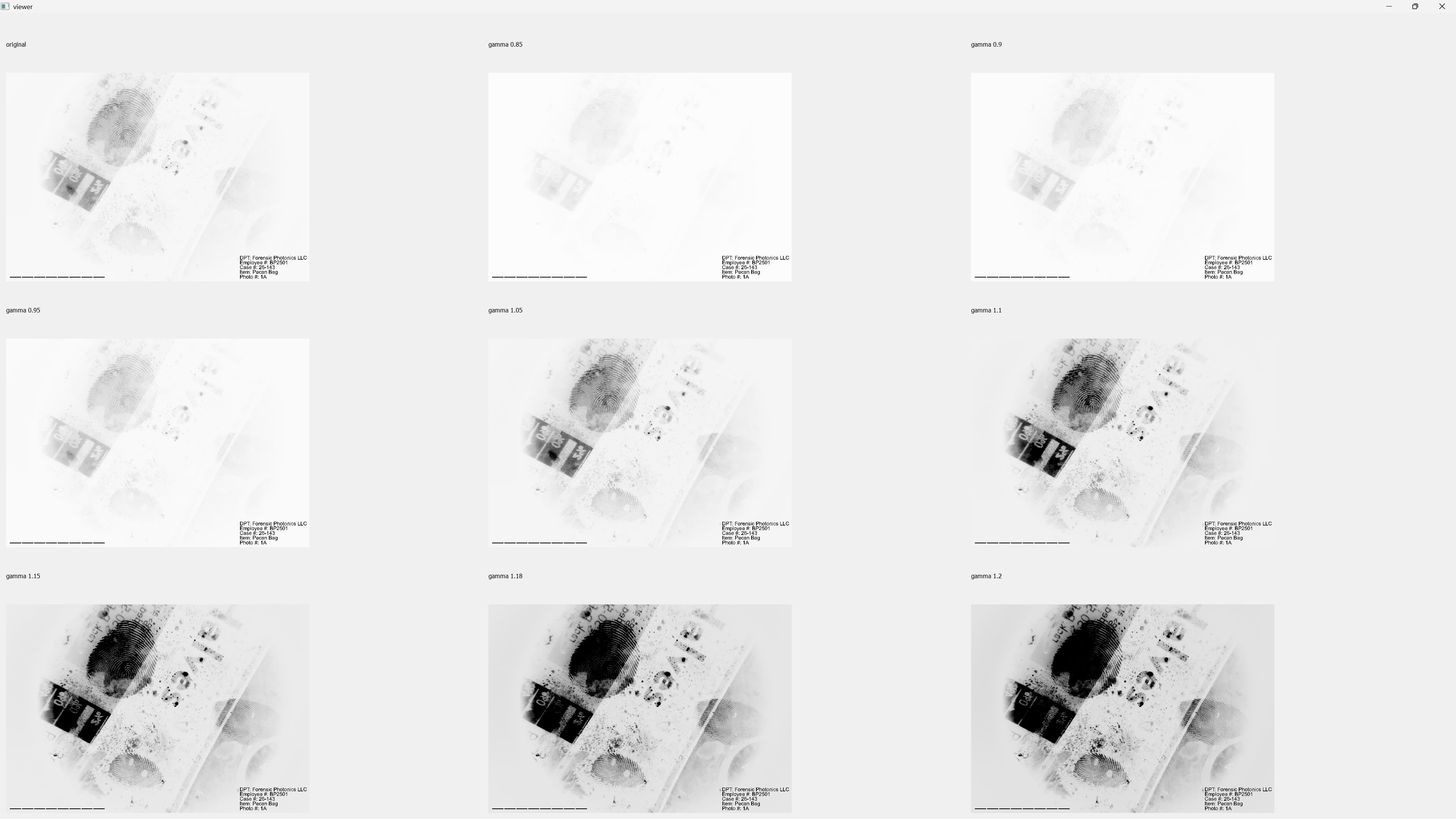 Snap Processing - 9 Gamma-Adjusted Images